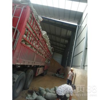 【徐匯紫金陶粒廠-徐匯陶粒價格_北京陶粒】-