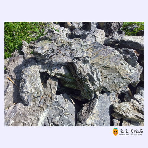 平臺(tái)石批發(fā) 深圳平臺(tái)石廠(chǎng)家 廣場(chǎng)綠化搭配石圖片