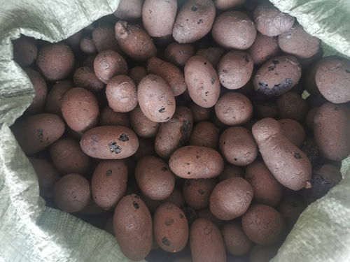 海口找坡陶粒實(shí)力廠家