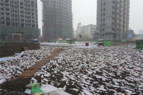 溫嶺花卉陶粒一方多少錢