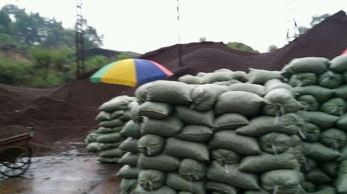 韶關市陶粒批發廠