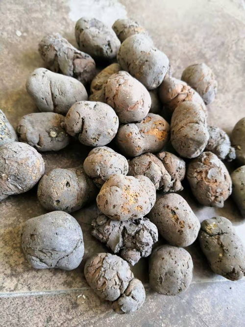 鳳縣找坡陶粒價錢