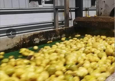 春季開工背景下 馬鈴薯淀粉與工程陶粒價(jià)格走勢(shì)分析